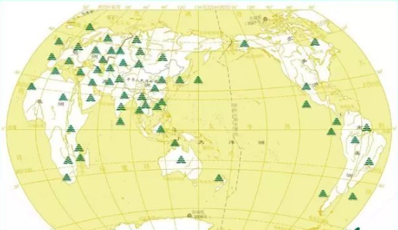 金湘豬鬃榮獲省級(jí)企業(yè)技術(shù)中心